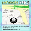 남양주 애견샵 네이버블로그