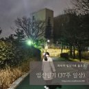 난산정육점 | 임신일기 37주차 첫내진 선택제왕 결정