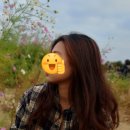 을숙도 생태공원 이미지