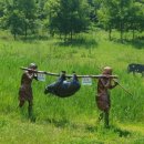 오이도선사유적공원(전망대) 이미지