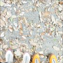 김해시 X-게임장 이미지