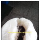 진양냉동설비