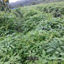 대형슈퍼 이미지