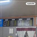 총알반점 네이버블로그