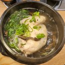 가야삼계탕 | 복날에 꼭 가야하는 광명사거리역 삼계탕 맛집, 더 건강한 닭곰탕 후기