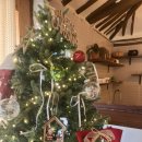 토르스테이 | [춘천 애견동반 숙소] 토르스테이 : 겨울맞이 촌캉스 후기 (내돈내산)