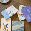 스테이우연 이미지