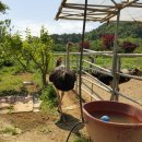 귀소농장 이미지