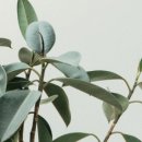 청라 행정사 사무소 이미지