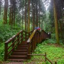 갈모봉산림욕장 이미지