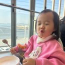 만선회집 - 2775 | 오이도횟집 만선회집 대게코스 후기, 아이랑 가기 좋은 바다뷰 맛집