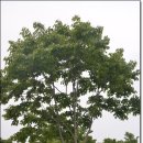 옥산농원 이미지