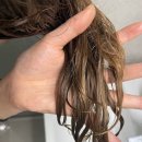 헤어센스 | 극손상모 파이브센스 헤어클리닉 과 트리트먼트 써본 후기