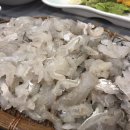 돌산계동뼈꼬시