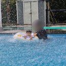 씨투피 | 3대 대가족 제주도 여행 총정리 | 3박4일 코스, 후기 with 29개월,5개월아기