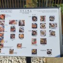 사시스스시