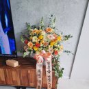 5342 | W32. [본식준비] 축하 화환 (생화 오브제화환 with 핑크플라워) 준비