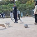 에버펫동물병원 - 송파구 오금로 422 | 에버펫동물병원
