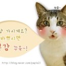 프로젝트엠이마트 이미지