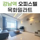 대동목화공인중개사사무소 | 강남역 단기 임대 오피스텔 목화밀라트 복층 최신 조건 안내!