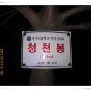 송죽목장 이미지