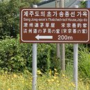 송종선가옥 이미지