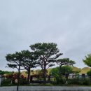 분지농장 이미지