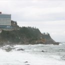 오랍드리 이미지