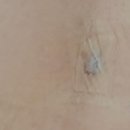 강남벨라의원 이미지