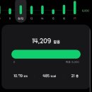 침례유치원 | 남아공 이스트런던 선교 일지 2
