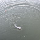 용연낚시터 이미지