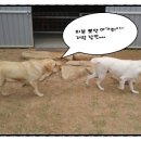 태양이네민박