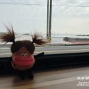 미미네집 이미지