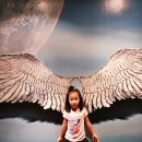 마린파크 이미지