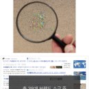 소그마 이미지