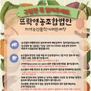 법인뜨락 이미지