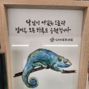 메리네카페 이미지