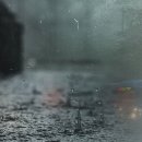 양재천로 이미지