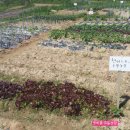 우미농장 이미지