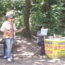 숲속의 계곡 이미지