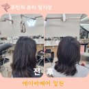 일원 | 일원역 가성비 좋은 미용실 에이바헤어 일원점 하호니코 클리닉 후기