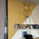 울릉가바 카페 추천 / Mr. Alpaca Coffee And Whatever 미스터 알파카 ☕