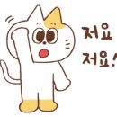 토이워크 이미지