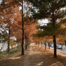 매곡근린공원 이미지