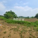 귀한손님공인중개사사무소 이미지