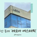 레오아에스테틱