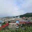 중앙당한약방 네이버블로그