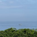 이노메싸제주 | 제주여행 1｜프라이탁, 미스터스위츠, 무상찻집, 홀츠애월, 우주를삼킨소년, 시소카이막, 바테카삐...
