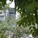 김삿갓밥집(본점) 이미지