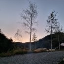 홍천종합약국 이미지